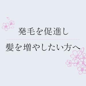 第1類医薬品 アートネイチャー 発毛剤 育毛剤...の詳細画像2