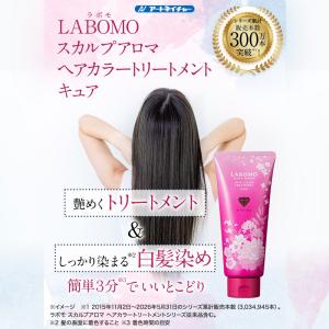アートネイチャー ヘアカラートリートメント キ...の詳細画像1