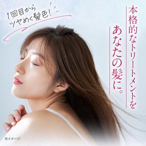アートネイチャー ヘアカラートリートメント キ...の詳細画像3