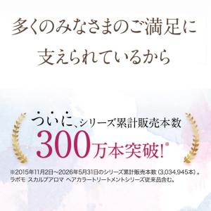 アートネイチャー ヘアカラートリートメント キ...の詳細画像4