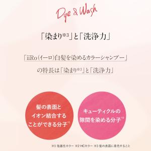 白髪を染めるカラーシャンプー 50mL & カ...の詳細画像1