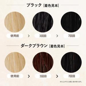 白髪を染めるカラーシャンプー 50mL & カ...の詳細画像2