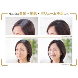 アートネイチャー 白髪隠し 薄毛隠し 分け目 ...の詳細画像4
