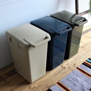 東谷 ゴミ箱 おしゃれ 屋内 屋外 分別 45L 大型 ふた付き アメリカン