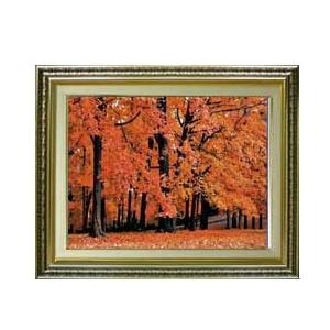 秋、紅葉 F6サイズ 【油絵 直筆仕上げ】【額縁付】 油彩 風景 秋、紅葉 F6サイズ 【油絵 直筆仕上げ】【額縁付】 油彩 風景