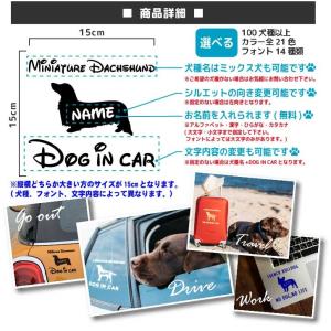 チワワ ステッカー 【Mサイズ】名前入れ ドッ...の詳細画像2