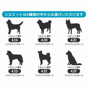 シベリアン ハスキー ステッカー 車 おしゃれ...の詳細画像1