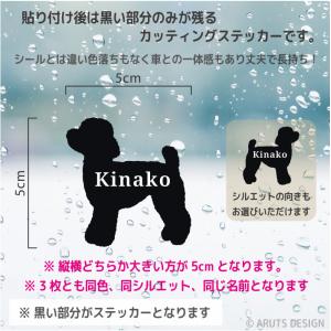 キャバリア ステッカー 3枚 セット 名前 名...の詳細画像2