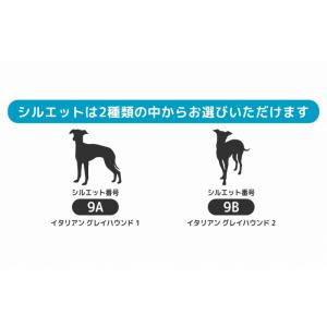 イタリアングレイハウンド ステッカー 3枚 セ...の詳細画像3