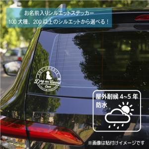 マルチーズ ステッカー 車 犬 おしゃれ 筆記...の詳細画像1