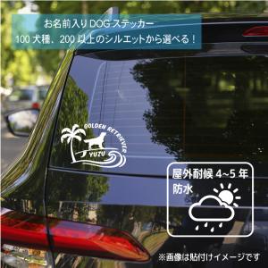 犬 ステッカー トイプードル かわいい 車 ペ...の詳細画像1