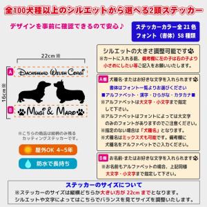 犬 ステッカー 車 多頭 2頭 2匹 おしゃれ...の詳細画像1