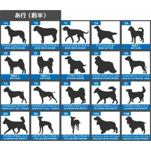 犬 ステッカー 車 多頭 2頭 2匹 おしゃれ...の詳細画像4