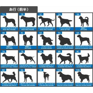 多頭飼い 3頭 3匹 犬 ステッカー 【Mサイ...の詳細画像4