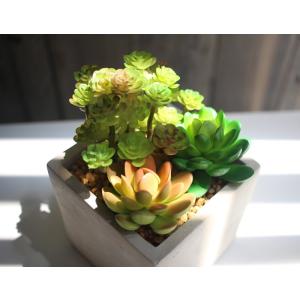 人工観葉植物 造花 インテリアアート 多肉植物...の詳細画像2