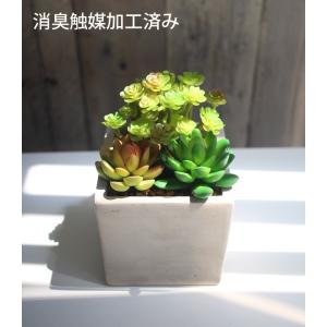 人工観葉植物 造花 インテリアアート 多肉植物...の詳細画像3