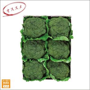 ブロッコリー 6個パック/フェイクフード(食品サンプル) 店舗装飾 ディスプレイ（別途料金で、無光触媒/CT触媒加工可）｜artworks