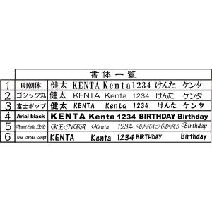 ペット 墓 墓石 プレート 墓標 庭 ペット ...の詳細画像4