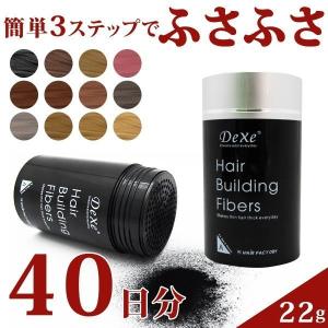 増毛 増毛パウダー 抜け毛 薄毛 白髪染め 薄毛隠し 白髪隠し 薄毛対策 ハゲ隠し 部分かつら  ヘアービルディングファイバーDexe 22g 40日分