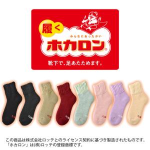 ホカロン レディース ソックス 靴下 冬 厚手...の詳細画像1