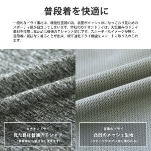 ＼リニューアルして新登場★2025年版/ カチ...の詳細画像4