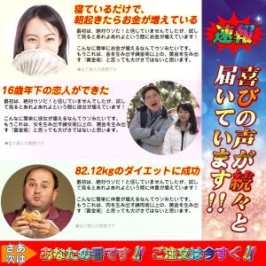 財布 長財布 開運祈願 金運アップ フランク三...の詳細画像5