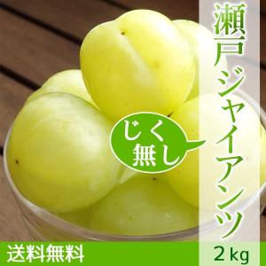 瀬戸ジャイアンツ じく無し 訳あり わけあり ぶどう 送料無料 2kg｜arumama