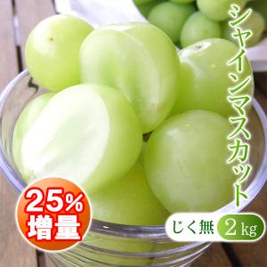 【25％増量】シャインマスカット 2kg＋500g じく無し 訳あり わけあり ぶどう 送料無料｜arumama