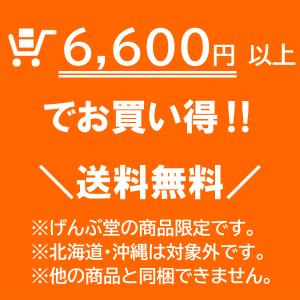 ＼クーポン有/ げんぶ堂 ロミーナ サラダ味 ...の詳細画像1