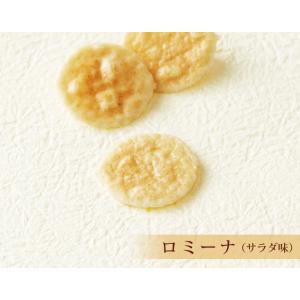 ＼クーポン有/ げんぶ堂 ロミーナ サラダ味 ...の詳細画像3