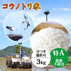 ＼クーポン有／ 玄米（精米無）農薬不使用 白米 3kg コウノトリ米 コシヒカリ コウノトリ育む農法 有機肥料 令和6年産 豊岡市産 兵庫県産 当日精米 送料無料