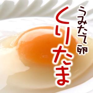 卵 40個 Mサイズ たまご 送料無料 但熊 百笑館 西垣養鶏場 くりたま ギフト｜arumama