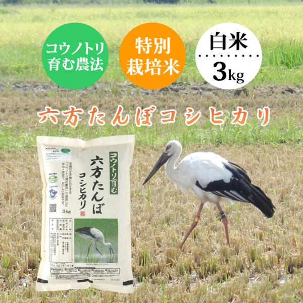 お米 3kg 白米 コシヒカリ 農家直送 令和7年産 こうのとり米 兵庫県産 送料無料 ＼クーポン有...