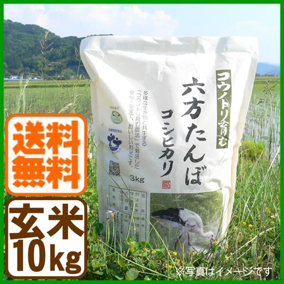 コシヒカリ 玄米 10kg こうのとり米 令和5年産 送料無料 兵庫県産