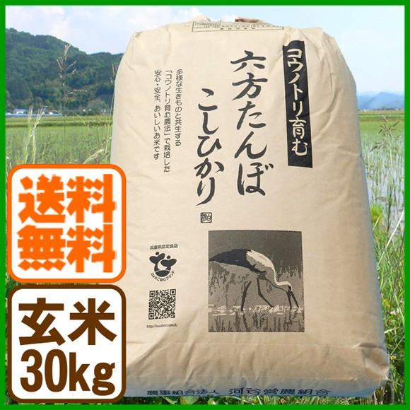 コシヒカリ 玄米 30kg こうのとり米 令和5年産 送料無料 兵庫県産