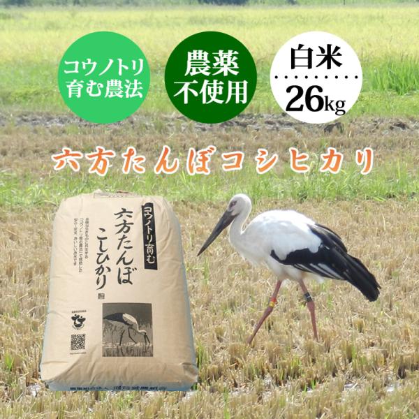 コシヒカリ 白米 26kg 農薬不使用 令和5年産 こうのとり米 送料無料 兵庫県産