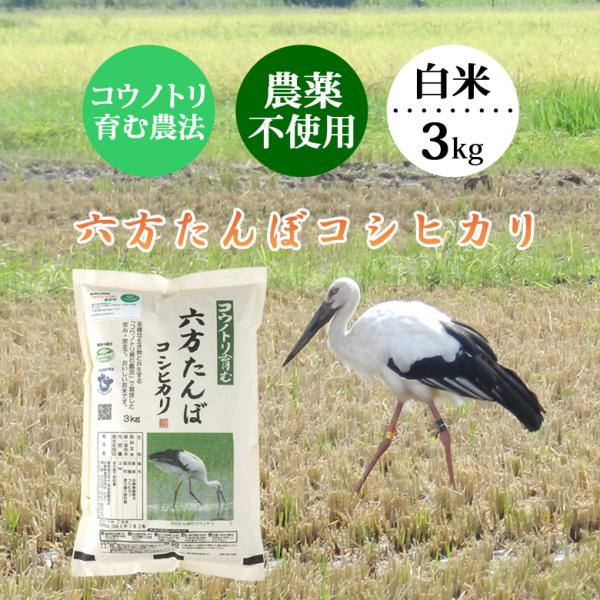 新米 お米 3kg 白米 農薬不使用 コシヒカリ 農家直送 令和7年産 こうのとり米 兵庫県産 送料...