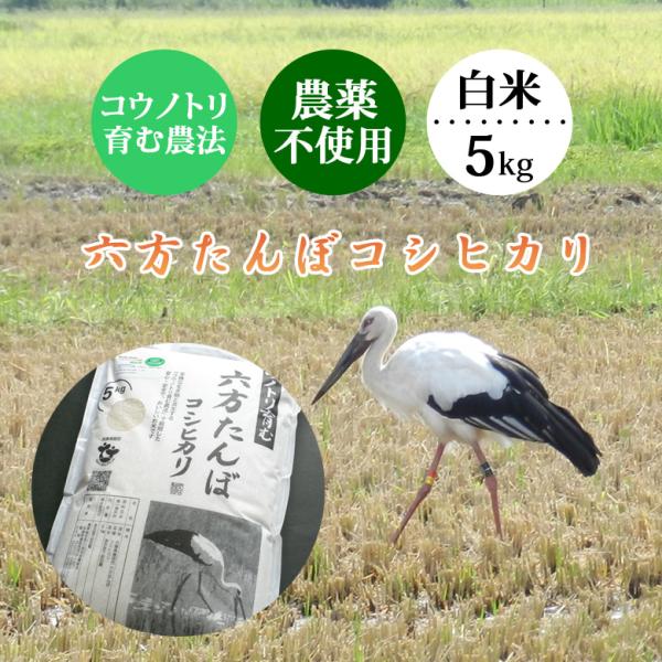 お米 5kg 白米 農薬不使用 農家直送 コシヒカリ 令和7年産 コウノトリを育む農法 兵庫県産 送...