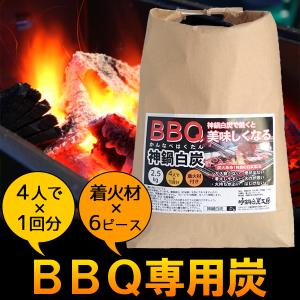 バーベキュー 炭 BBQ 木炭 2.5kg 着火剤付き 送料無料