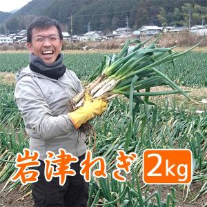 岩津ねぎ ネギ 送料無料 朝来特産 訳あり 2kg