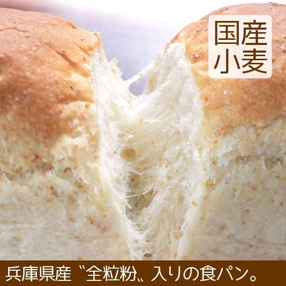 食パン 全粒粉入り 北海道産小麦 卵不使用 こうめや ＼クーポン有／