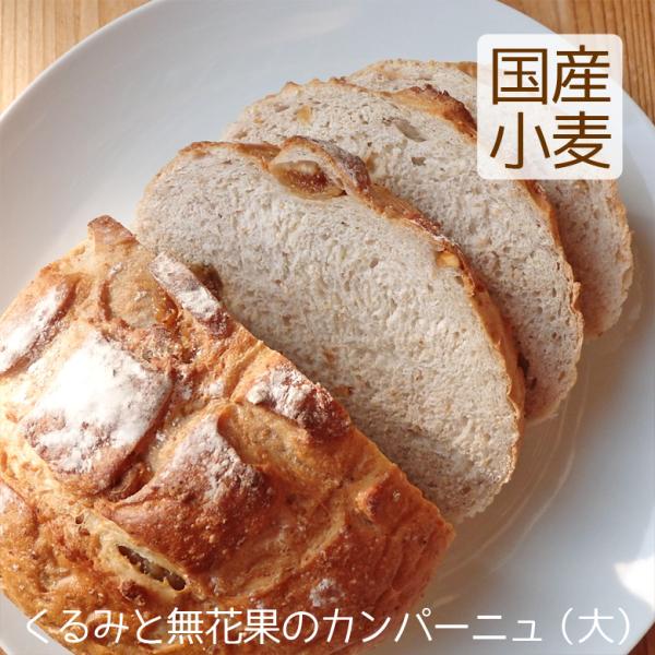 カンパーニュ（大）パン 国産小麦 全粒粉 くるみ いちじく入り 卵不使用 こうめや ＼クーポン有／