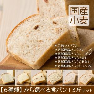 食パン 送料無料 お試しセット 卵不使用 こうめや ＼クーポン有／