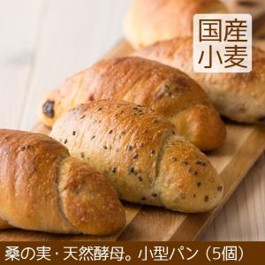 天然酵母パン 小型 5個 北海道産小麦 こうめや｜arumama