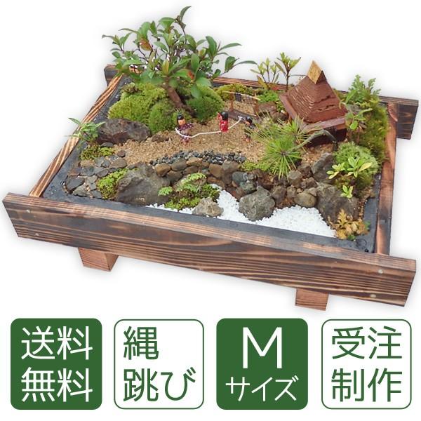 盆栽 ミニ庭園 盆景【縄跳び（M）】