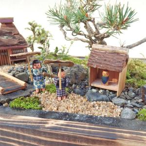 盆栽 ミニ庭園 盆景【お迎え(M)】の詳細画像1