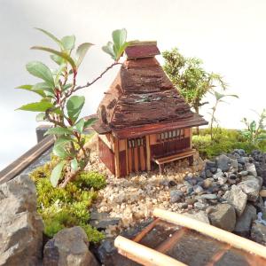 盆栽 ミニ庭園 盆景【お迎え(M)】の詳細画像2