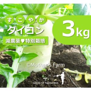 ダイコン 大根 農薬90％カット 特別栽培【3kg】｜arumama