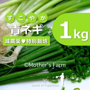 青ネギ ねぎ 農薬90％カット 特別栽培【1kg】｜arumama