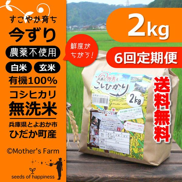 定期購入 無洗米 お米 2kgx6回 玄米 白米 今ずり米 農薬不使用 コシヒカリ 令和7年産 送料...